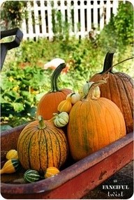 Wagon with pumpkins